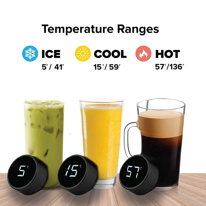 Smart Temperature Display Water Bottle