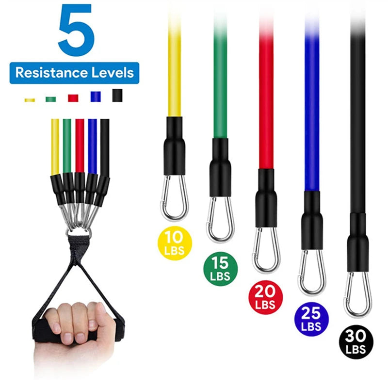 Resistance Bands – Professional Portable Strength Training System