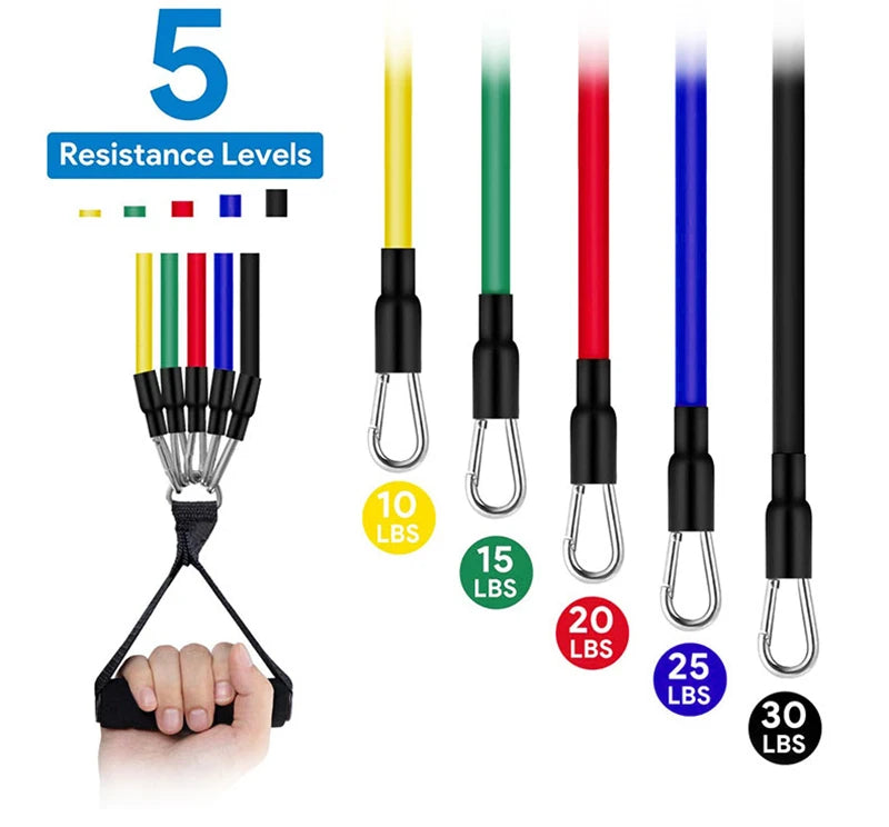 Resistance Bands – Professional Portable Strength Training System