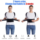 SpineAlign Pro – Medical-Grade Adjustable Lumbar Support System