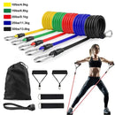 Resistance Bands – Professional Portable Strength Training System