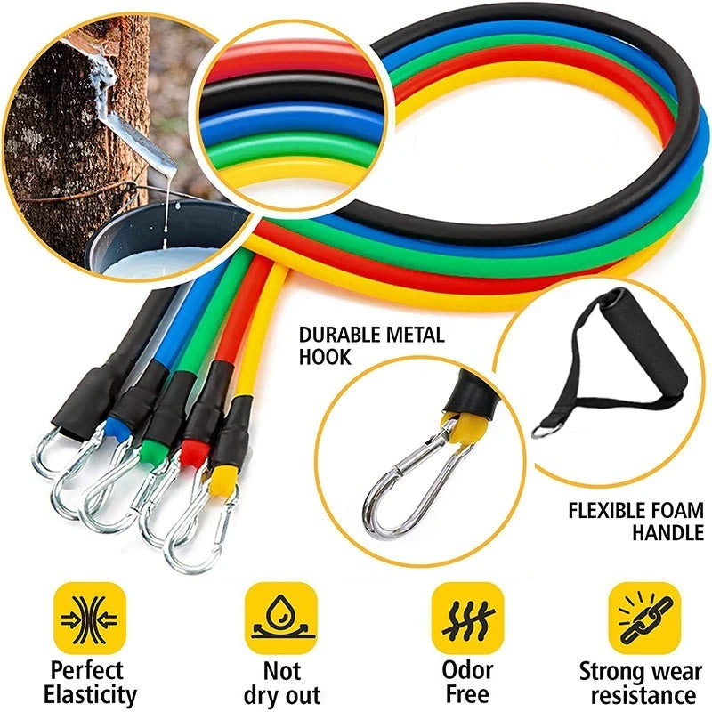 Resistance Bands – Professional Portable Strength Training System