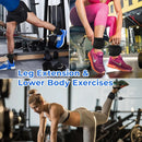 Fitness Ankle Straps Adjustable D-Rings